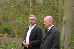 Baum des Jahres 2012