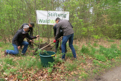 Baum des Jahres 2018