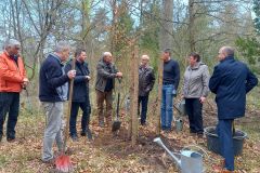 Baum des Jahres 2022