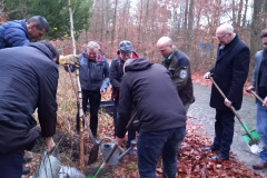 Baum des Jahres 2023