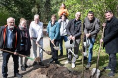 Baum des Jahres 2024