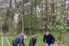 Baum des Jahres 2025