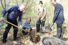Baum des Jahres 2026