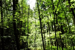 Misato_Aonami_DSC_0048s