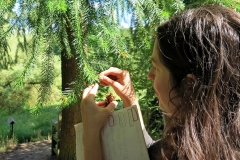 Fu308hrung_FoBoGa_IMG_0059