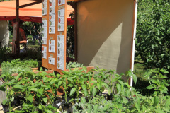 DSCN2863