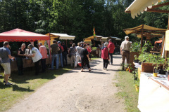 DSCN2881