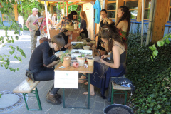 TDS2018WorkshopHaengendeGaerten
