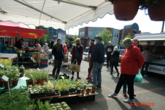 Markt-BBV-05-20