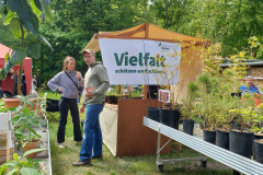 Stand-des-Forstbotanischen-Gartens