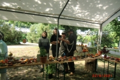 CIMG2968