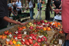Tomatenfestival 2022