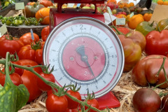 Tomatenfestival 2023