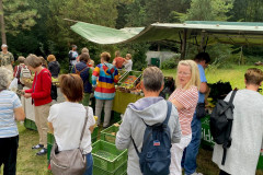 Wilde-Gaertnerei-3