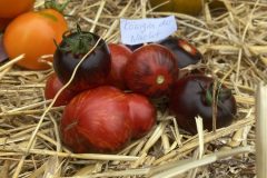 Tomatenfestival 2024