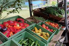 Tomatenfestival 2026
