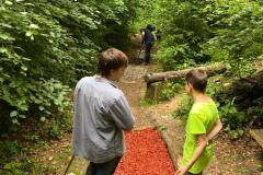 IMG-20210617-WA0007