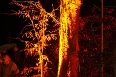 WaldWeihnacht_21