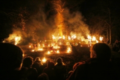 Waldweihnacht14_Burckhardt_4