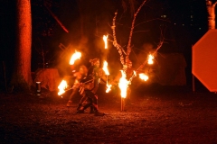 WaldWeihnacht_2017_Best_Of_019