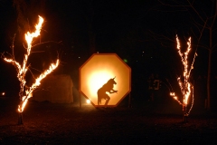 WaldWeihnacht_2017_Best_Of_020