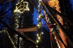 WaldWeihnacht_2017_Best_Of_082