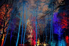 IMG-20201214-WA0009