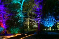 WaldWeihnacht 2021