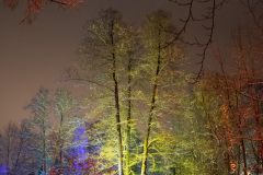 DSC_1051