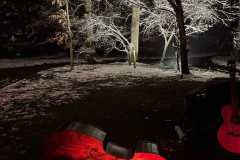 IMG-20211212-WA0009