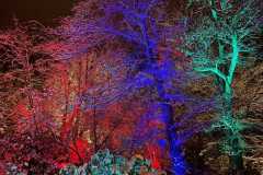IMG-20211212-WA0015