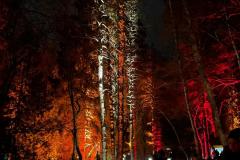 IMG-20221211-WA0007