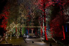 WaldWeihnacht 2023