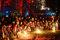 Waldweihnacht Eberswalde